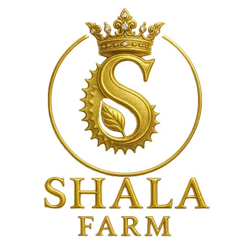 shala.vn